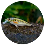 3stan wobler belly minnow bm40 h-mn 4 cm 2,8 g
