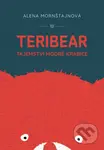Teribear (Tajemství modré krabice) - Alena Mornštajnová, Vladimír Žák (ilustrátor) - kniha z kategorie Beletrie pro děti