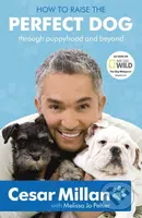 How to Raise the Perfect Dog (Through Puppyhood and Beyond) - kniha z kategorie Chov psů