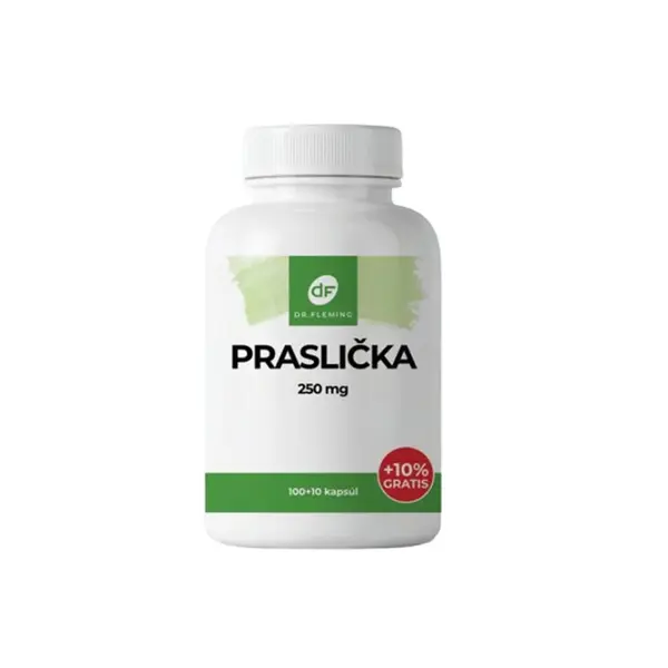 DR. FLEMING Praslička 250mg +10% grátis 110ks