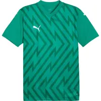 Puma TEAMGLORY JERSEY Pánský fotbalový dres, zelená, velikost