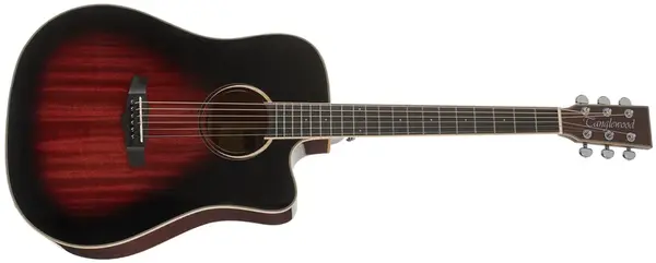 Tanglewood TW5CE AVB
