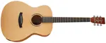 Tanglewood TR3E