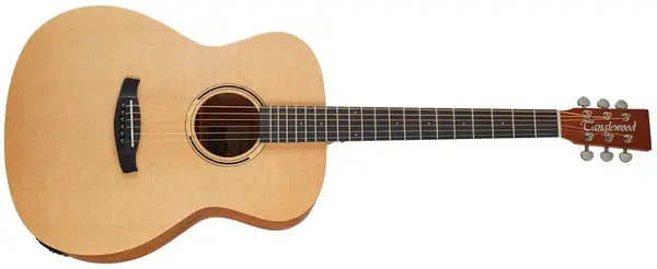 Tanglewood TR3E