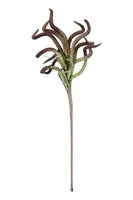 Umelá rastlina Bizzotto Lauralie