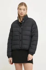 Bunda Hollister Co.