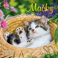 Nástenný kalendár Mačky 2026 (slovenské menné kalendárium)