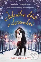 Jedného dňa v decembri (Dvaja ľudia. Desať príležitostí. Jeden nezabudnuteľný ľúbostný príbeh.) - kniha z kategorie Společenská beletrie