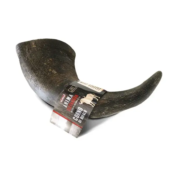 Byvolí roh na žuvanie 1