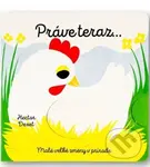 Práve teraz… (Malé veľké zmeny v prírode) - Hector Dexet - kniha z kategorie Naučné knihy