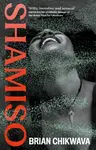 Shamiso - Brian Chikwava