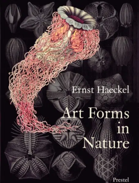 Art Forms in Nature
