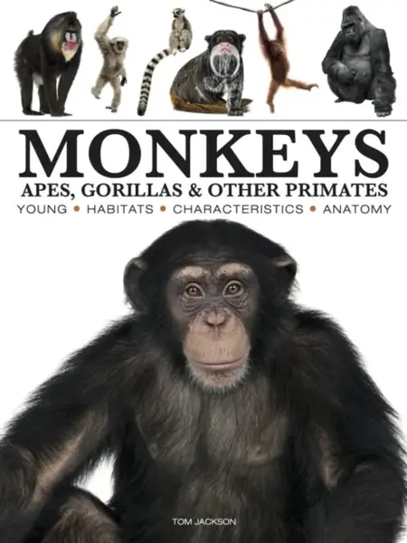 Monkeys - Tom Jackson