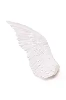 Dekorace Seletti Mvsevm Wing Right