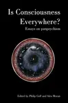 Is Consciousness Everywhere?
