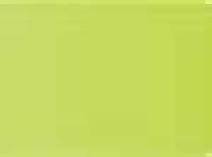 Pastel Caran d'Ache Neocolor II 730 Chinese green