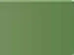Pastel Caran d'Ache Neocolor II 212 Chromium oxide green