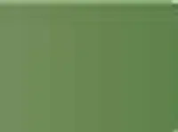 Pastel Caran d'Ache Neocolor II 212 Chromium oxide green