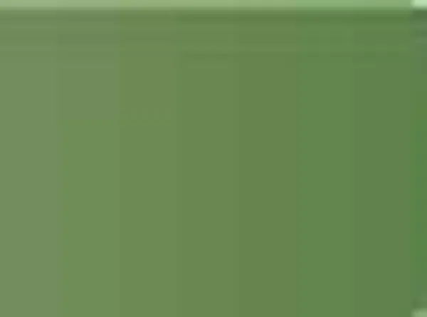Pastel Caran d'Ache Neocolor II 212 Chromium oxide green