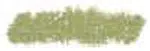 Sennelier olejový pastel 5ml – 046 Olive Green
