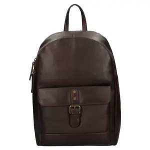 Pánsky kožený batoh Ashwood Will - hnedá