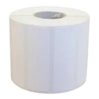 TSC 38-G100150-11LF, Normal paper, 100 mm x 150 mm, 1200 etiket, bílé