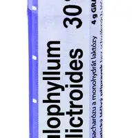 Boiron CAULOPHYLLUM THALICTROIDES CH30 granule 4 g