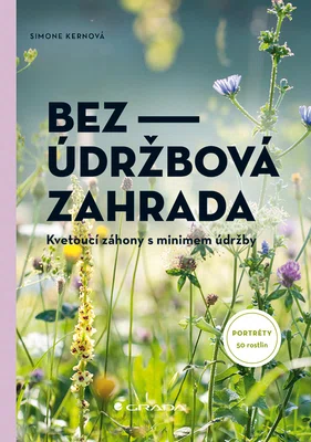 E-kniha: Bezúdržbová zahrada od Kern Simone