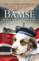 Sea Dog Bamse - Andrew Orr, Angus Whitson