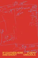 If I Gather Here and Shout - Funto Omojola
