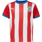 Puma FC ZBROJOVKA BRNO JR HOME JERSEY Dětský fotbalový dres, červená, velikost