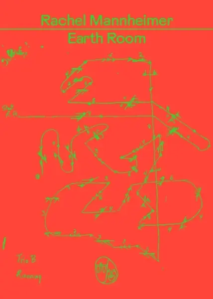 Earth Room - Rachel Mannheimer