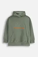 Detská bavlnená mikina Coccodrillo