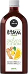 LEROS 100% šťáva zázvor a citron 250 ml