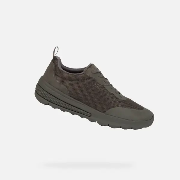 Sivé pánske tenisky Geox Activart