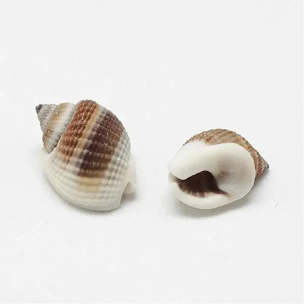 Natural Spiral Shell Beads