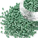 8/0 Glass Seed Beads