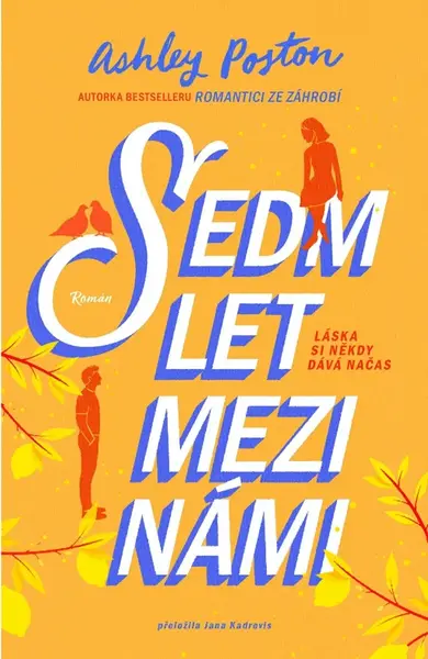 Sedm let mezi námi (poškozená) - Ashley Poston