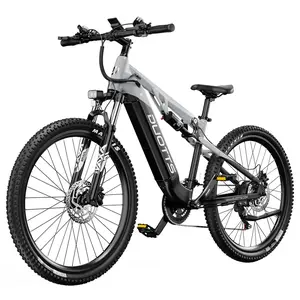 DUOTTS E29 Electric Bike 250W 48V 13.5Ah Silver White