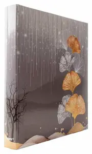 Fotoalbum pro 500 foto 10x15 cm