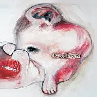 Kauflant – Kauflant