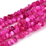 Natural Freshwater Shell Beads Strands