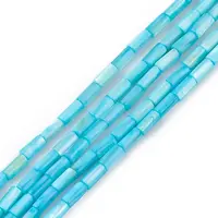Natural Freshwater Shell Dyed Beads Strands