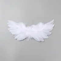 Feather Doll Angel Wing