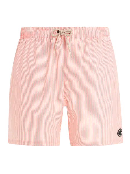 Men's beach shorts Protest PRTMANAMA