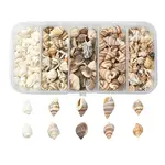 5 Styles Mixed Natural Shell Beads