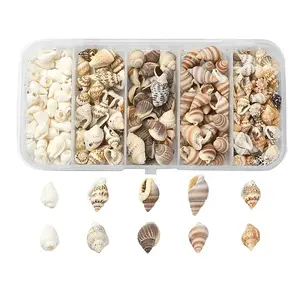 5 Styles Mixed Natural Shell Beads