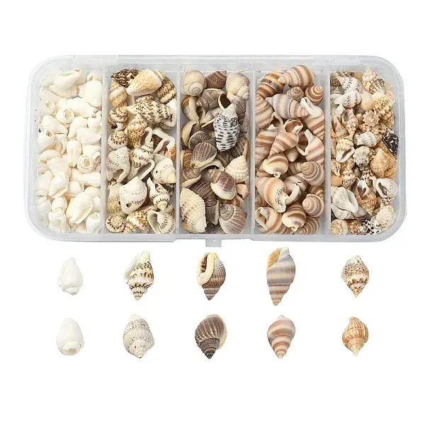 5 Styles Mixed Natural Shell Beads