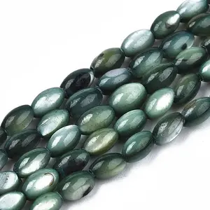 Natural Freshwater Shell Beads Strands