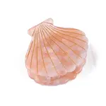 Cellulose Acetate Claw Hair Clips